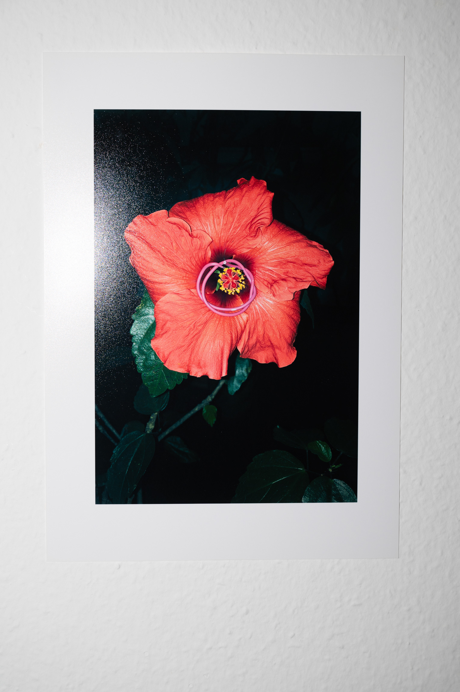 ALPHA-Z | LEONIE FELLE, REGINE RODE & MARGIT MEMMINGER | FOYER33