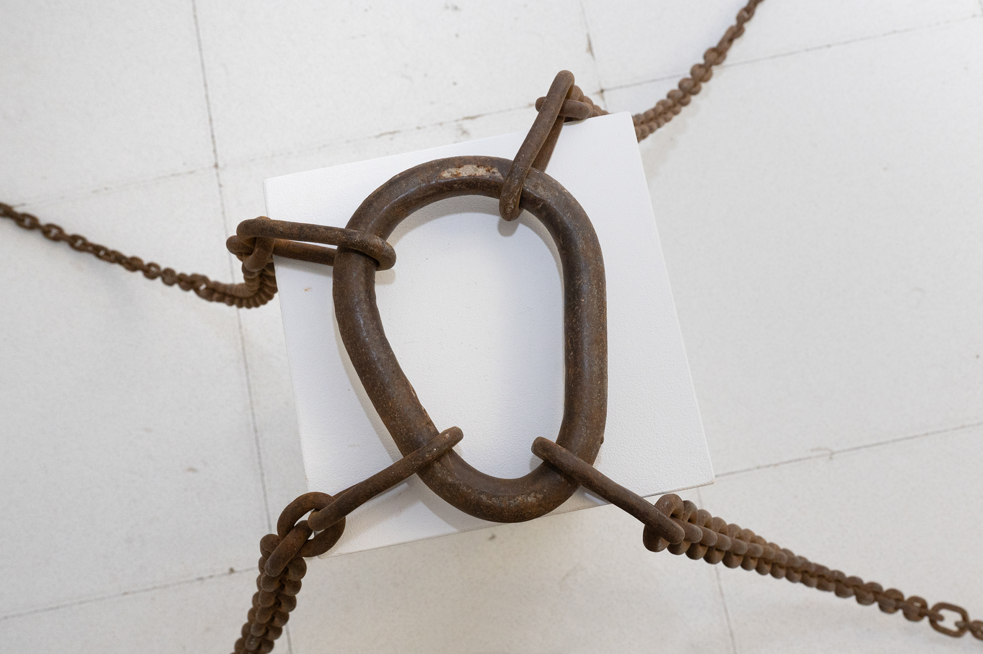 ALPHA-Z | LEONIE FELLE, REGINE RODE & MARGIT MEMMINGER | FOYER33