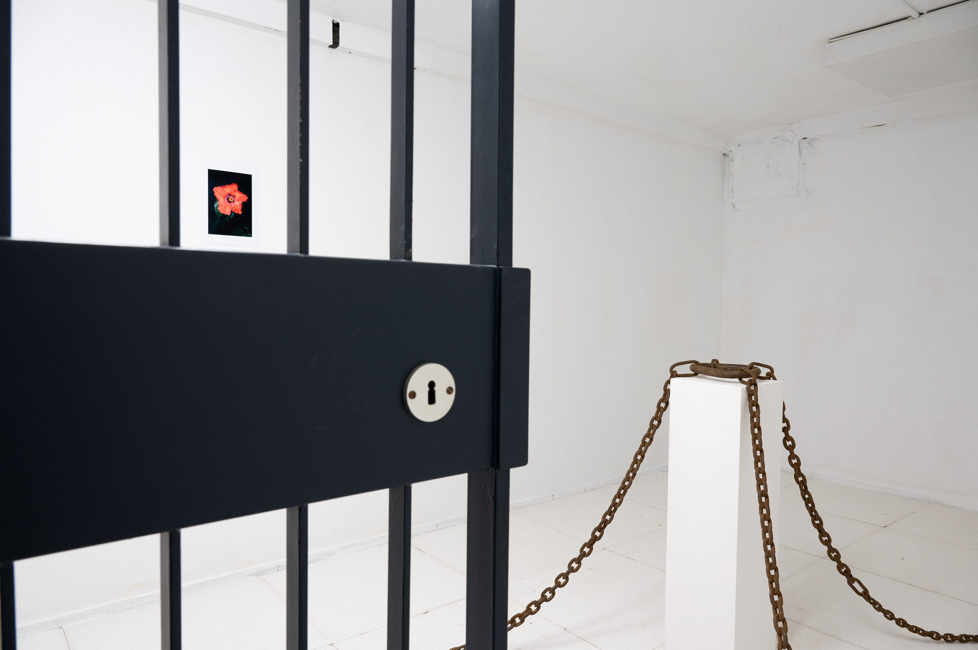 ALPHA-Z | LEONIE FELLE, REGINE RODE & MARGIT MEMMINGER | FOYER33