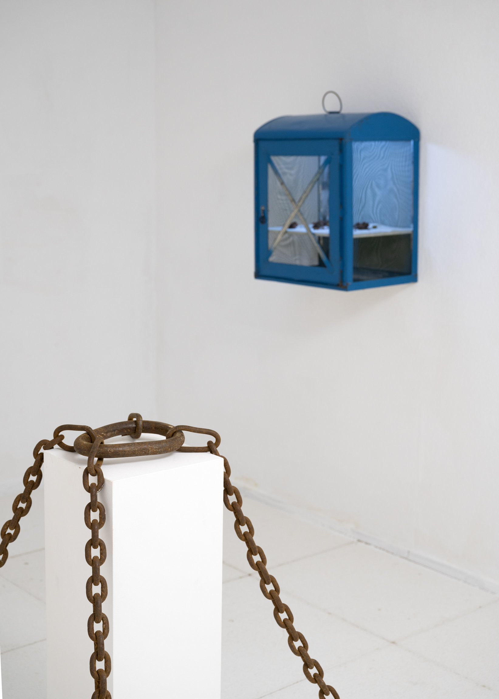 ALPHA-Z | LEONIE FELLE, REGINE RODE & MARGIT MEMMINGER | FOYER33