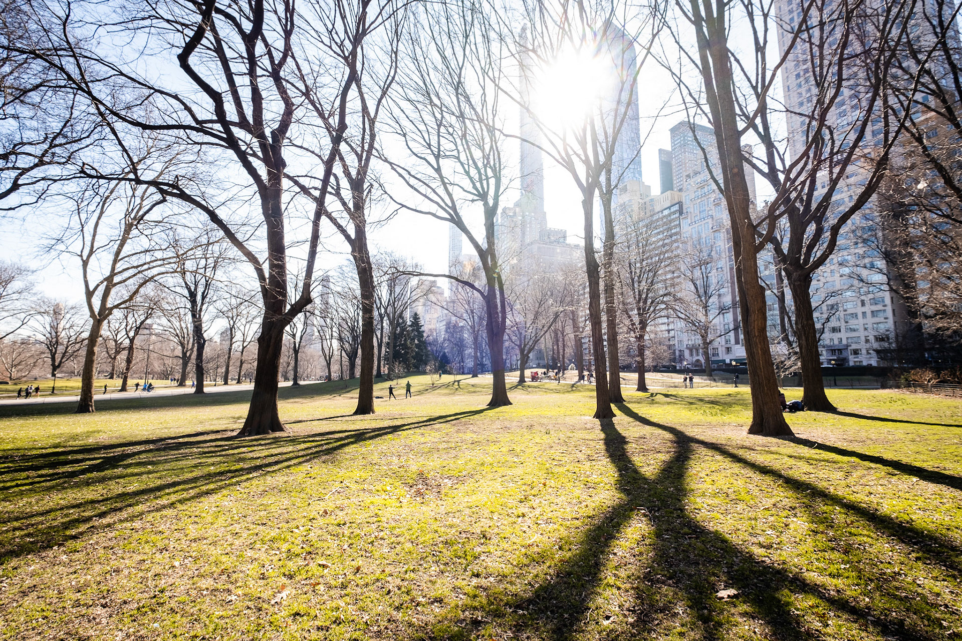 Central Park view, Manhattan New York