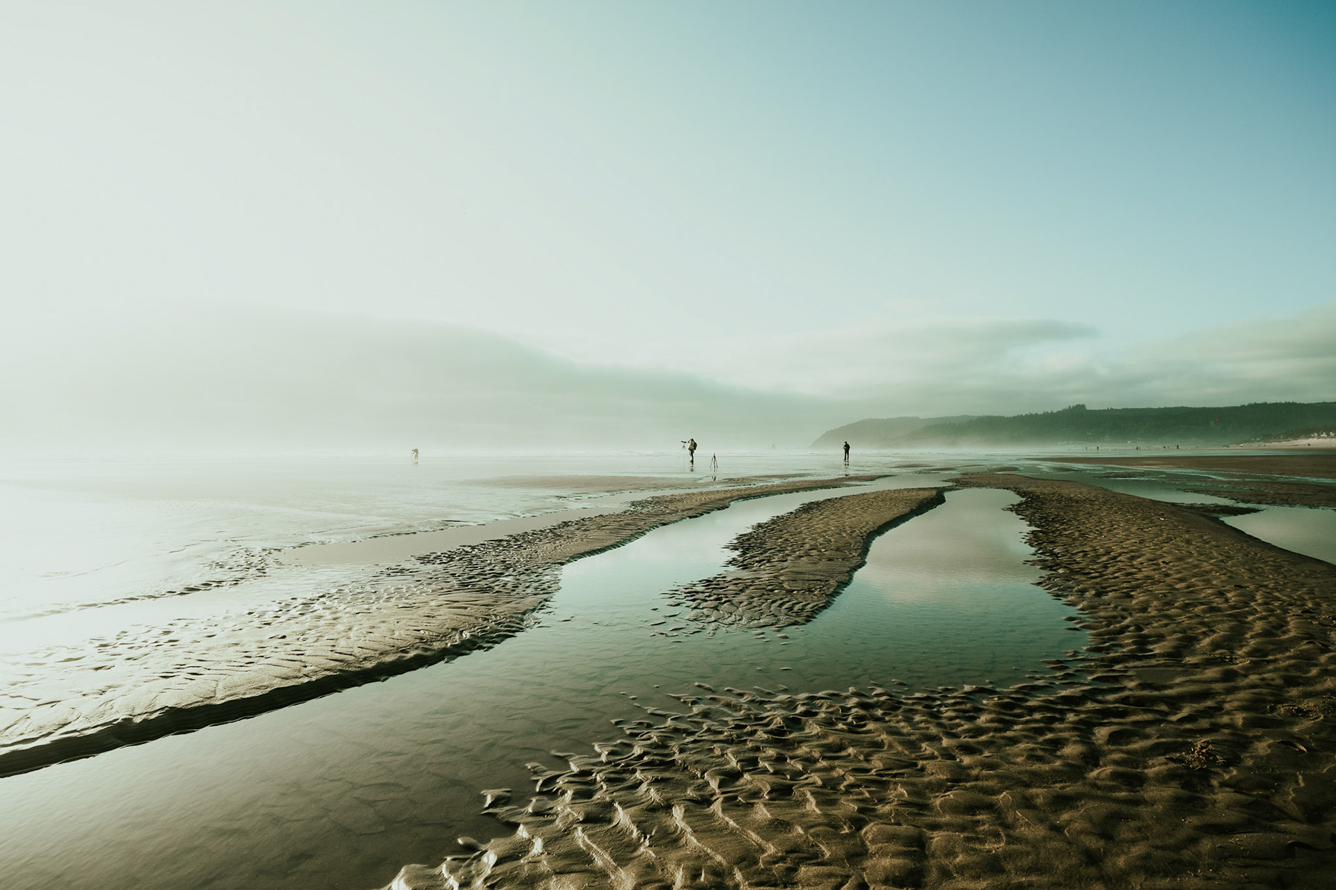 Cannon Beach is a small coastal city in northwest Oregon. It’s known for its long, sandy shore. Standing tall in the ocean, Haystack Rock is a seasonal haven for tufted puffins. Oregon. USA