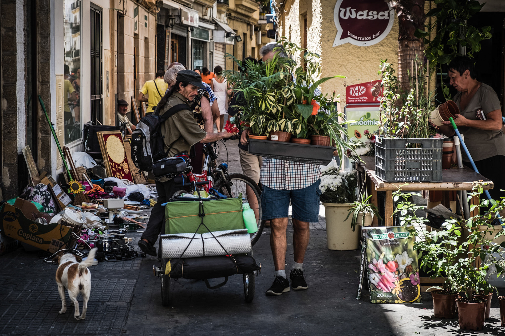 Tourists and locals at the beautiful and historic streets of Cadiz, Spain.