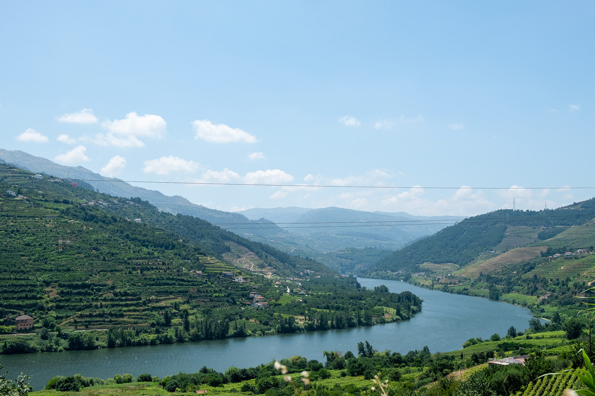 Douro Valley. Vineyards and landscape, Portugal