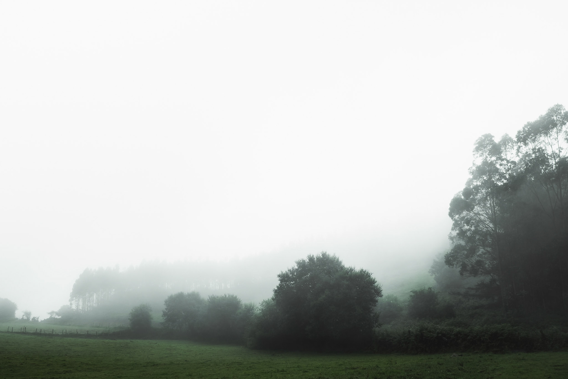 Foggy landscape on the way to Taramundi, Asturias, Spain.