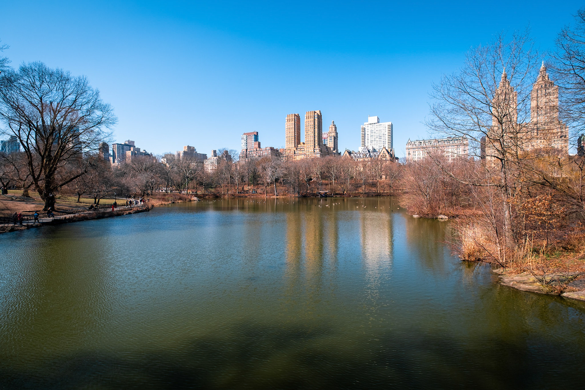 Central Park view, Manhattan New York