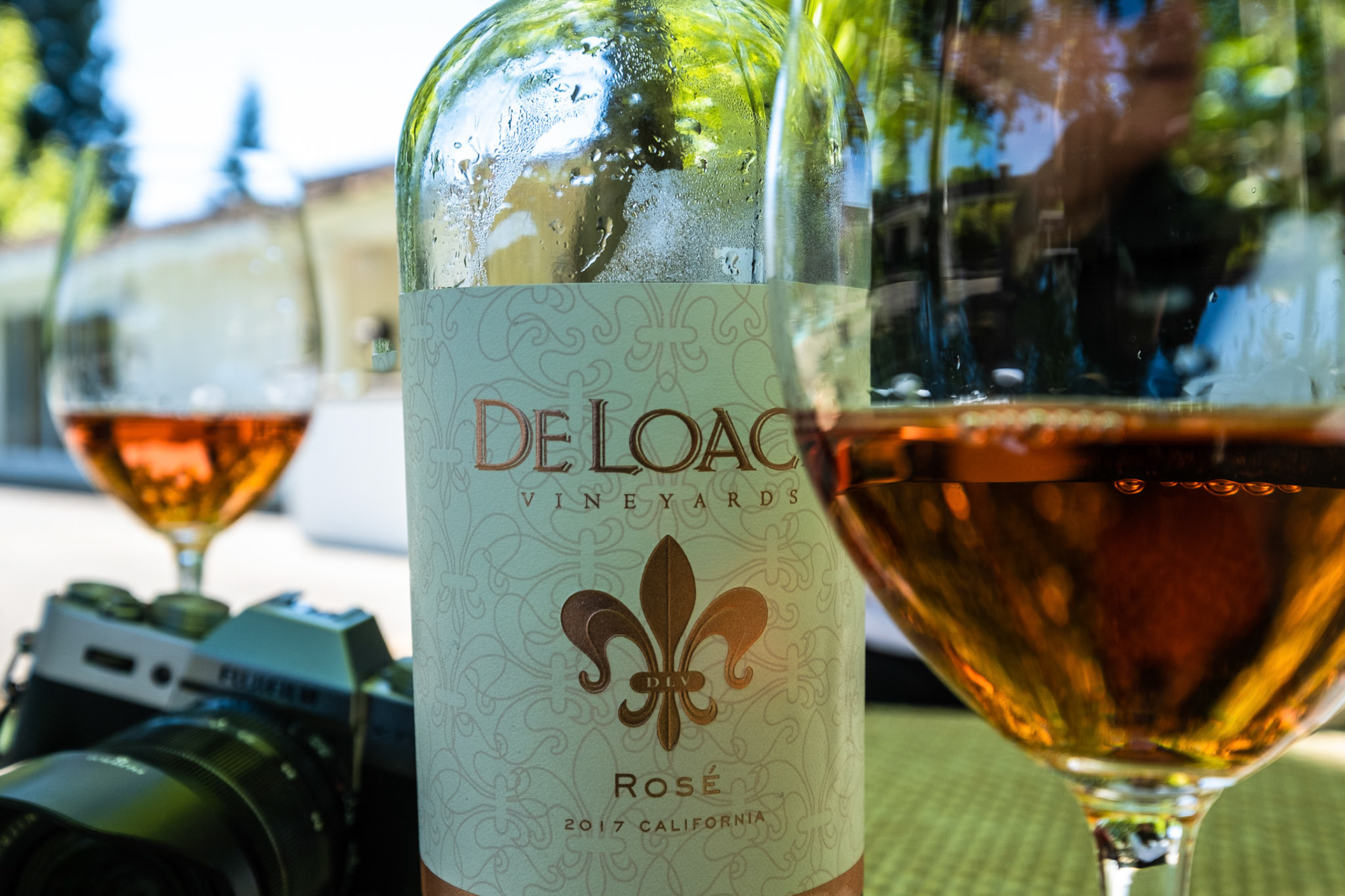 Wine tasting at Raymond Vineyards. Raymond Vineyards has over 300 acres of estate vineyards in the Napa Valley, in 3 locations. California.