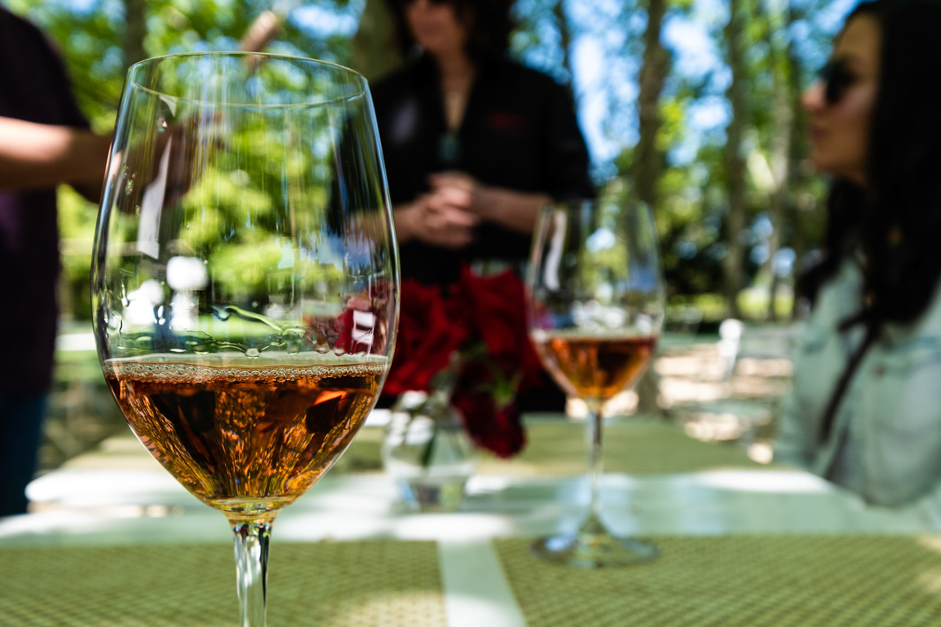 Wine tasting at Raymond Vineyards. Raymond Vineyards has over 300 acres of estate vineyards in the Napa Valley, in 3 locations. California.