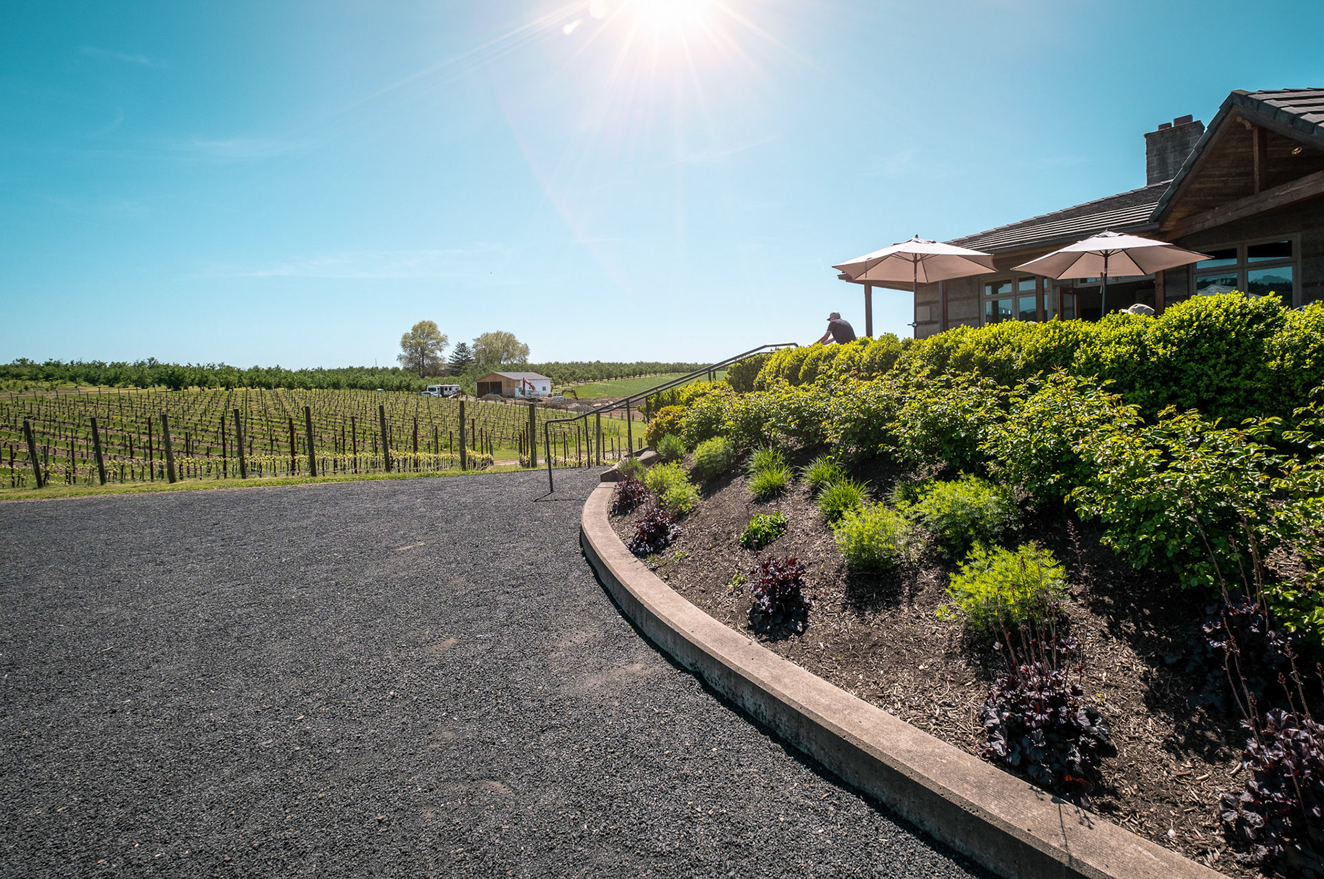 Adelsheim Vineyard, winery and tasting rooms. Newberg. Oregon