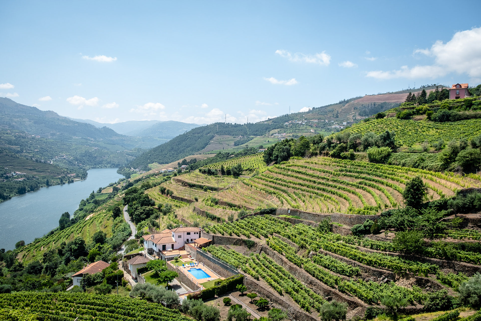 Douro Valley. Vineyards and landscape, Portugal