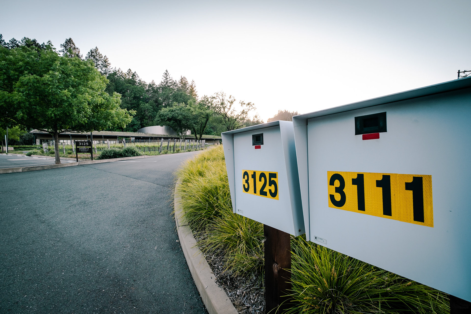 Montagu Wines, Montagu Wines is a boutique winery dedicated to showcasing wine from some of the finest vineyards in Napa Valley and Sonoma.