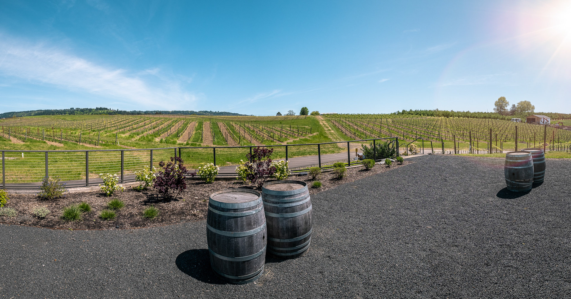 Adelsheim Vineyard, winery and tasting rooms. Newberg. Oregon