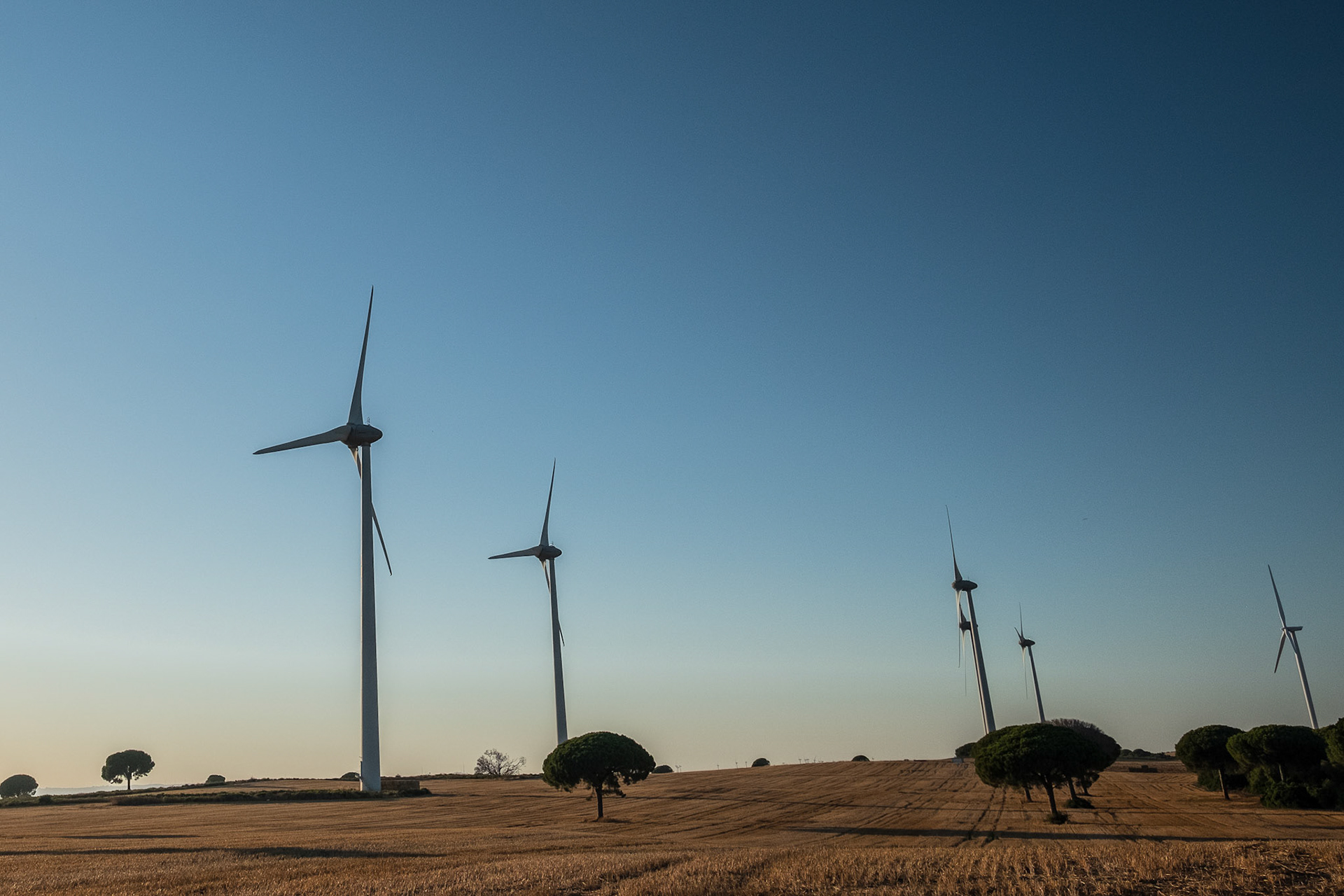 Wind turbines on sunny morning, Andalusia, Spain.