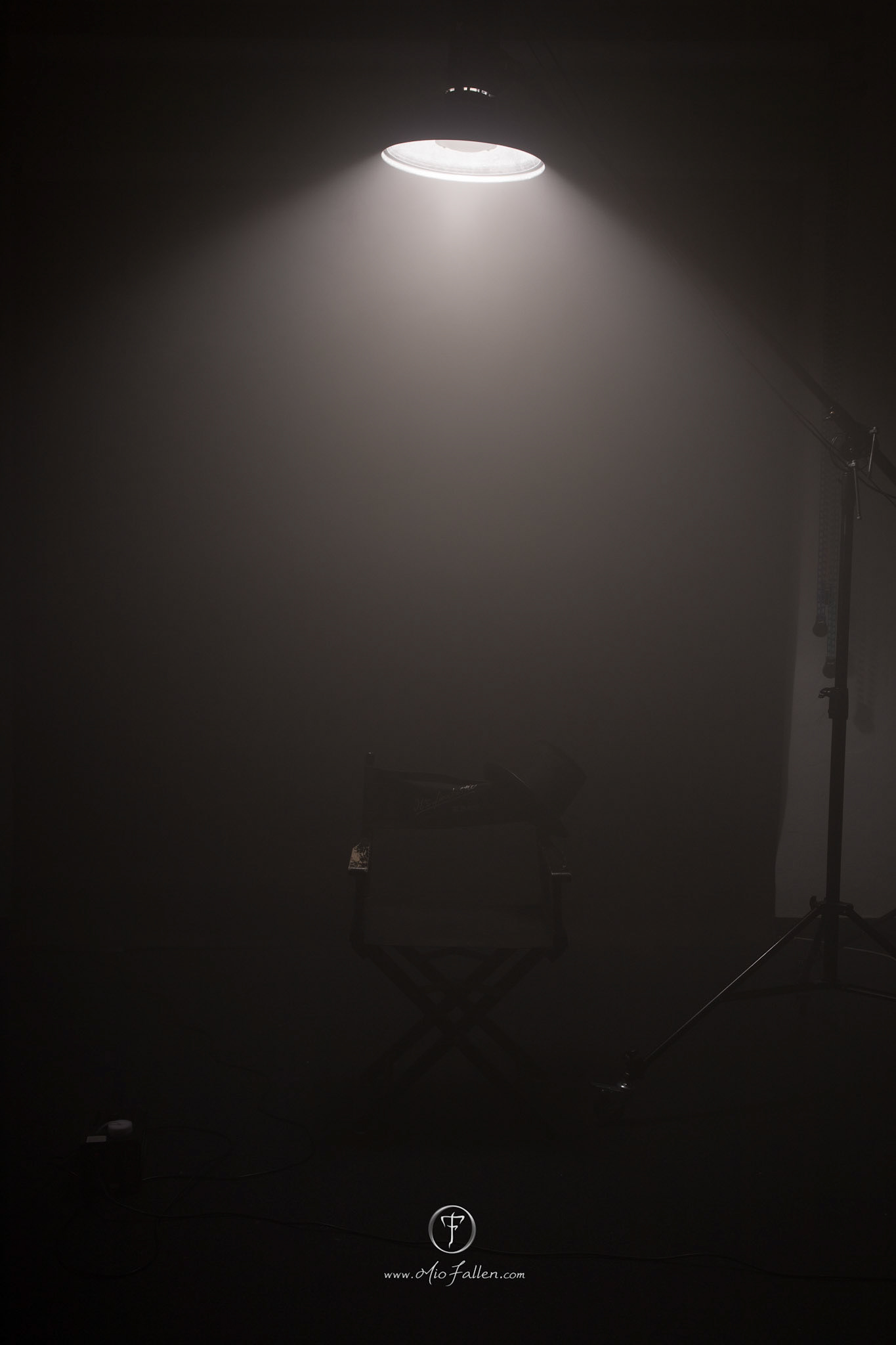 Beauty dish
