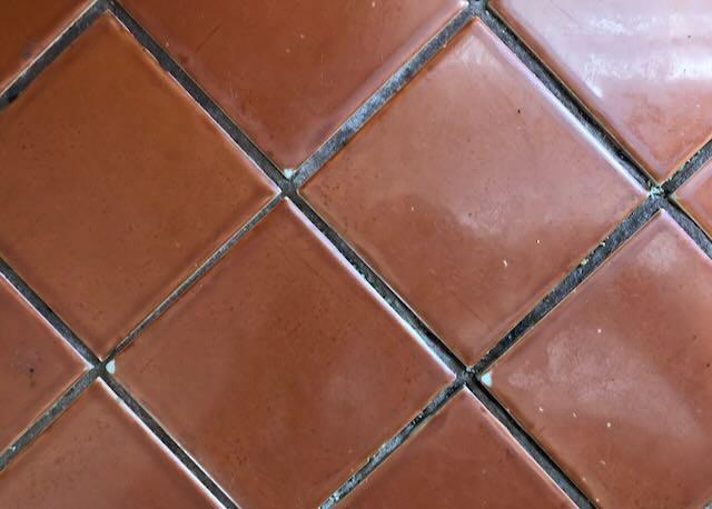BEFORE TILE REGROUT