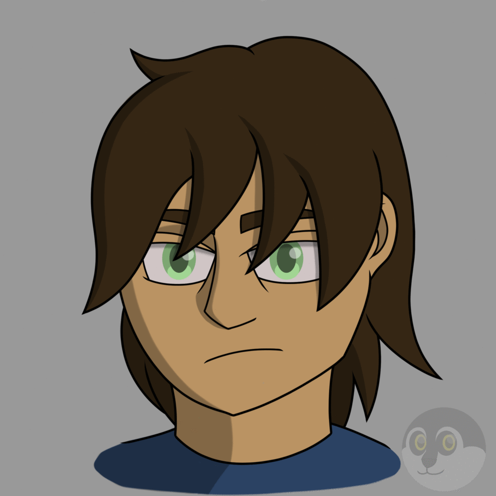 Photoshop, After Effects