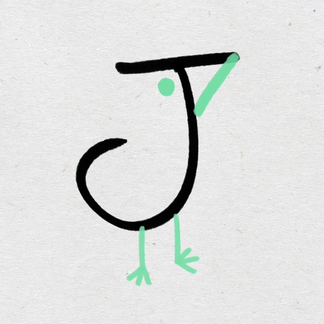 J bird Animation 