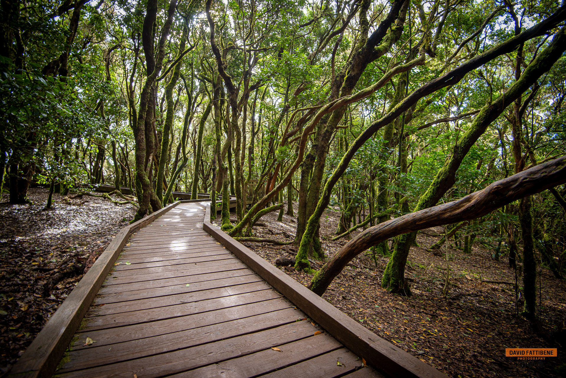 Bosque Encantado, Spain