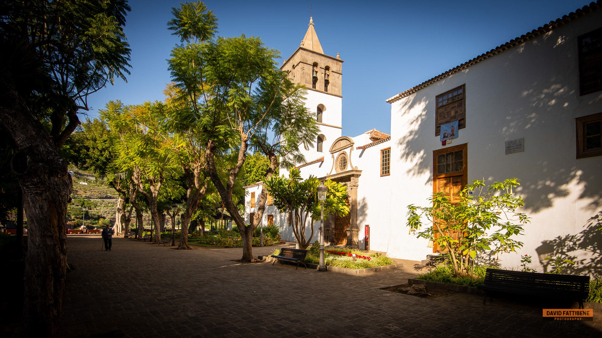 Icod de los Vinos, Spain