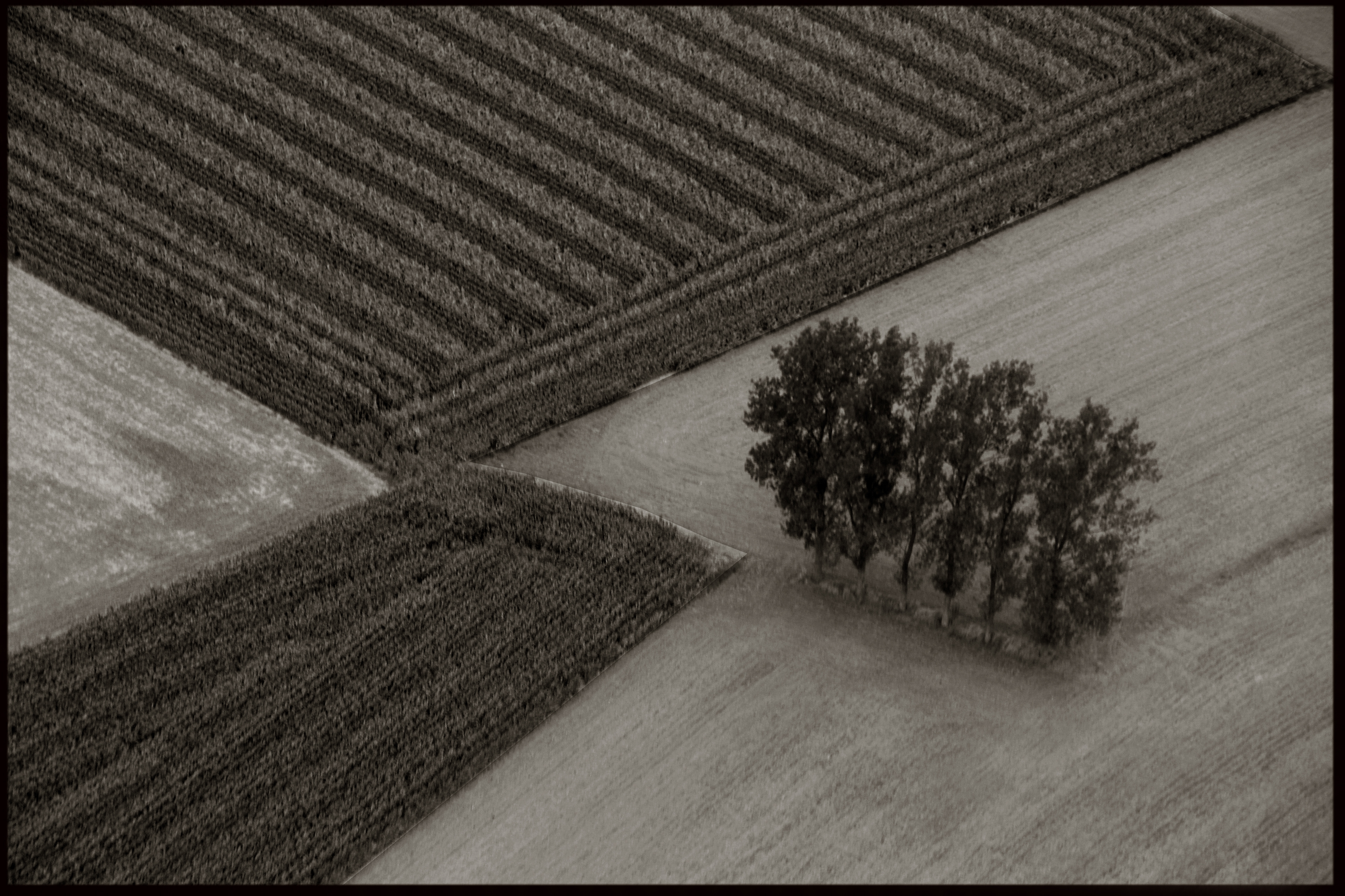 © Michel Gombart