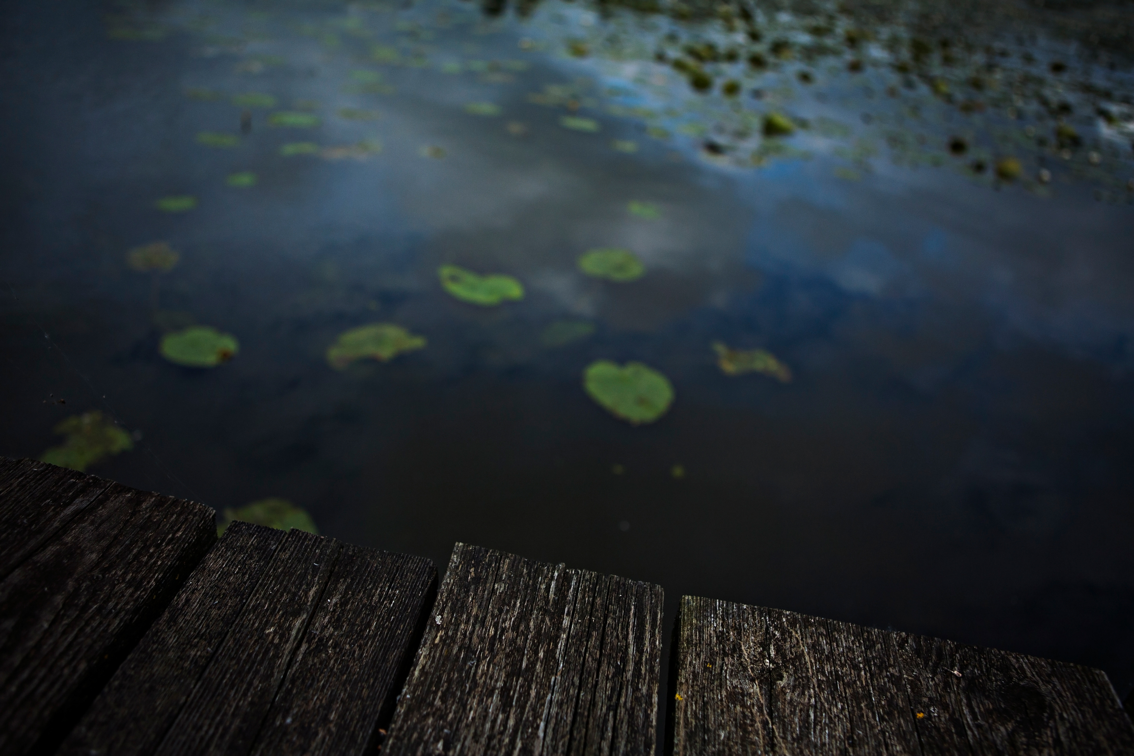 Lacunes 3 - © Lolita Lejeune
