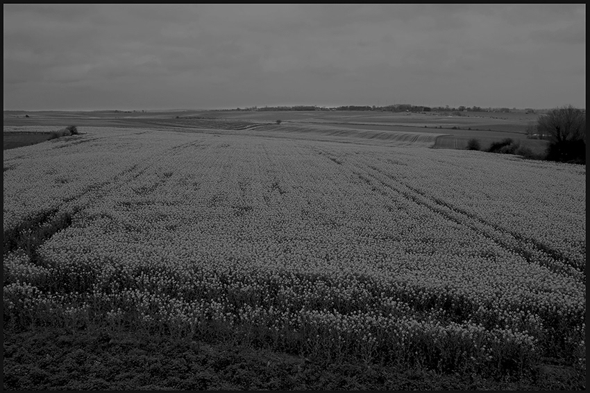 © Michel Gombart