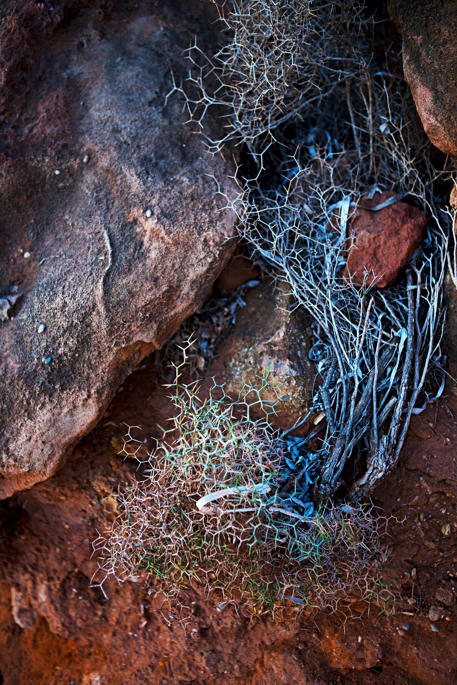 Lacunes 2 - © Lolita Lejeune