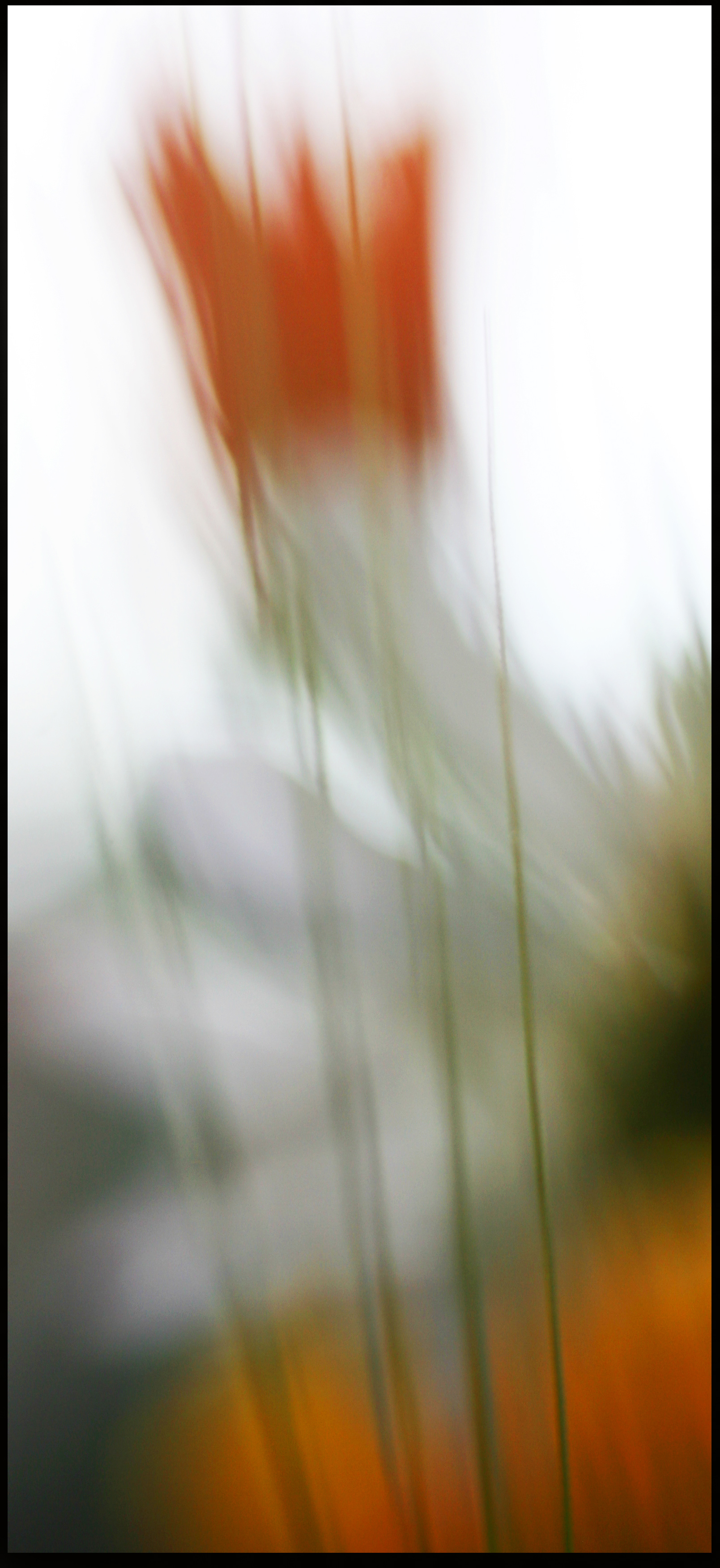 © Michel Gombart