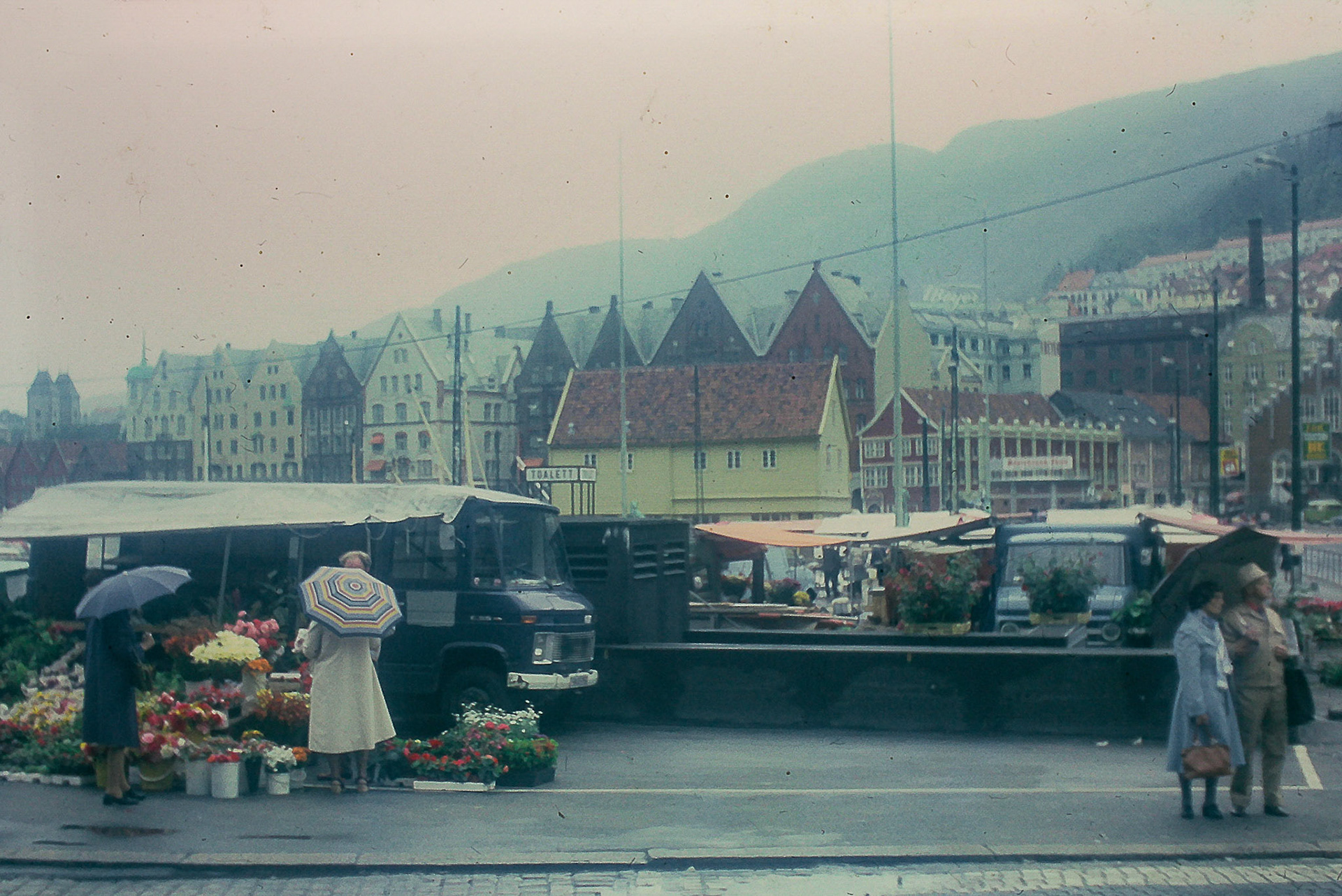Bergen 1977