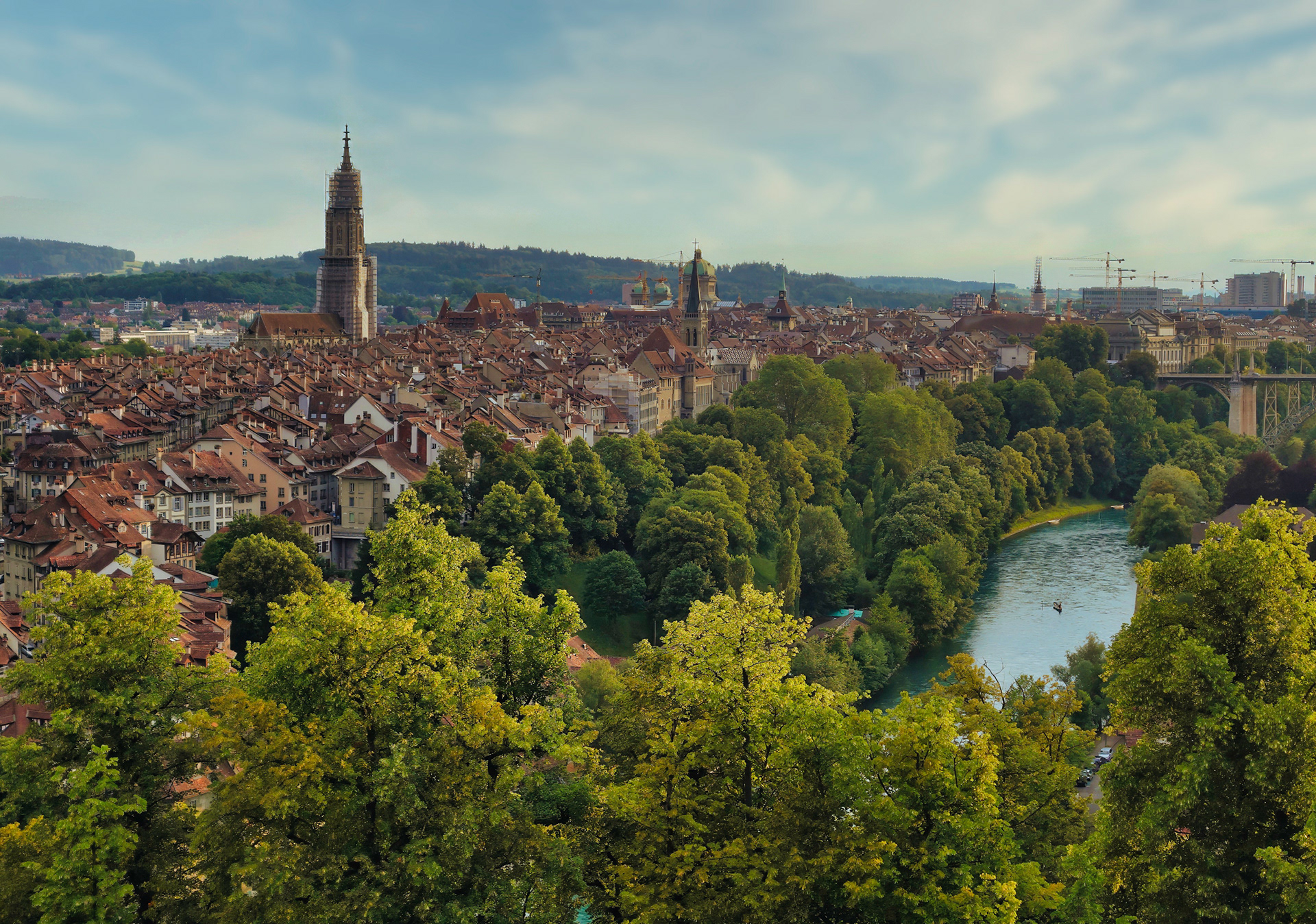 Blick vom Rosengarten