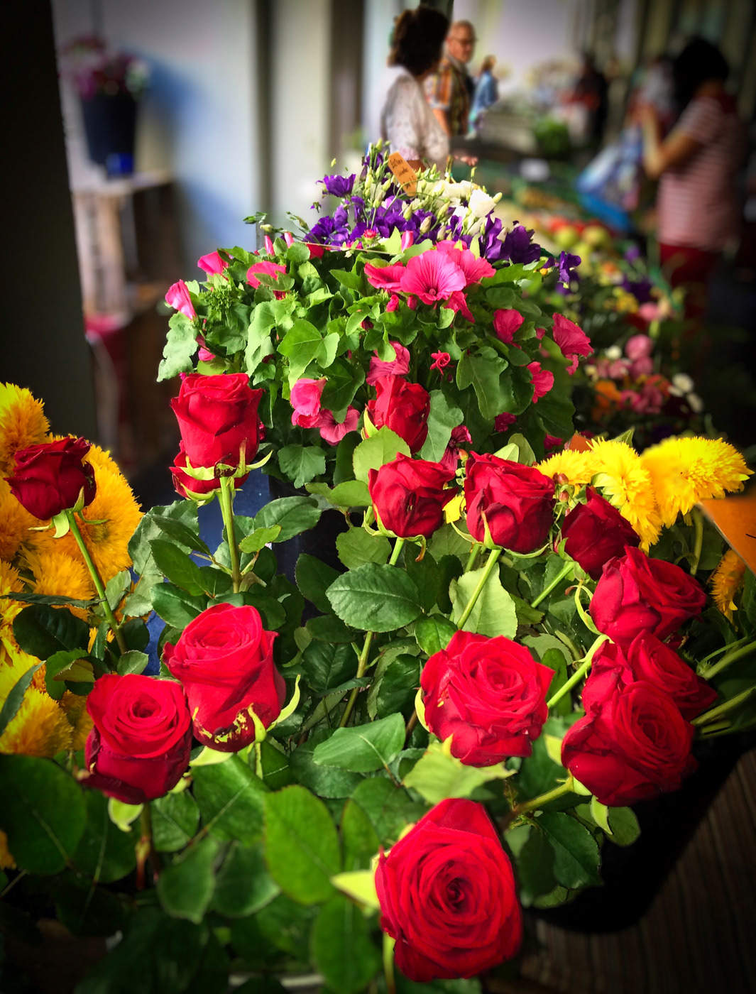 Blumen vom Berner Märit