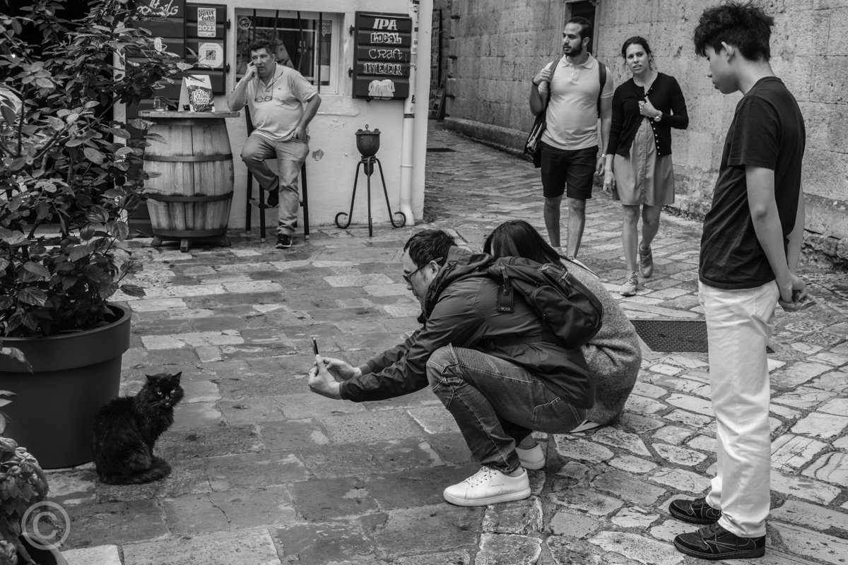 Kotor Old Town, Montenegro