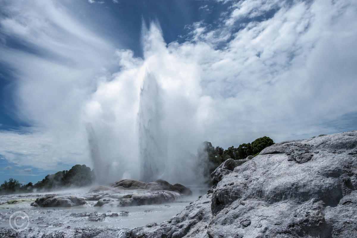 The Pohutu Geyser at Te Puia, Rotorua
