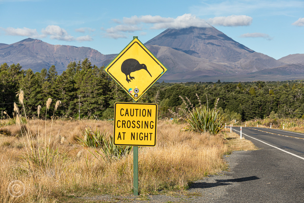 The road to  Tongariro National Park