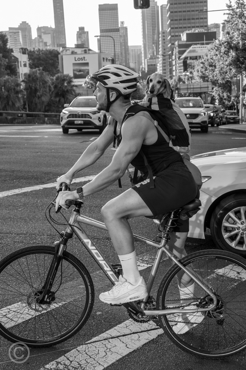 Waiting for the lights to change, Sydney