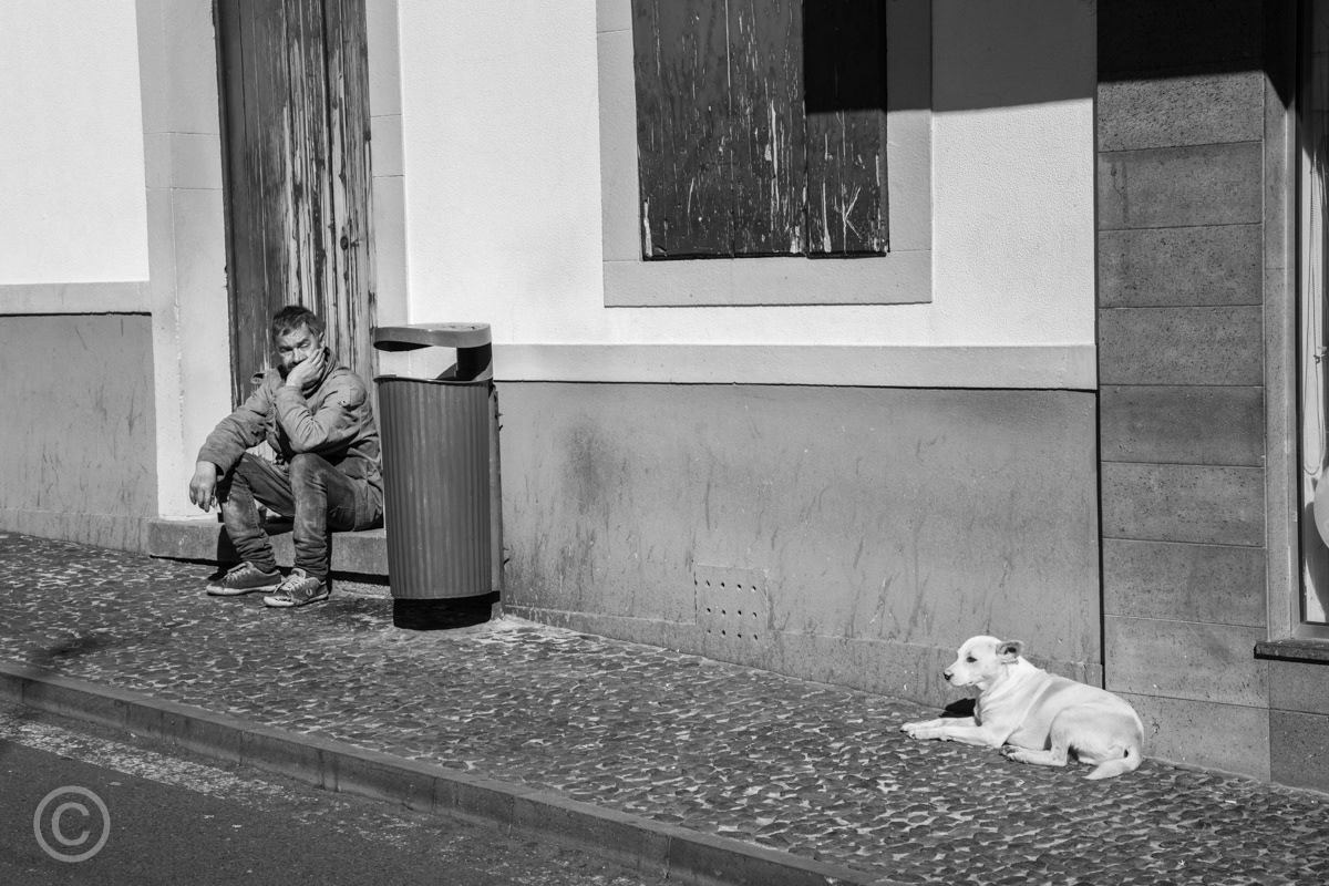 Inertia, Câmara de Lobos, Madeira