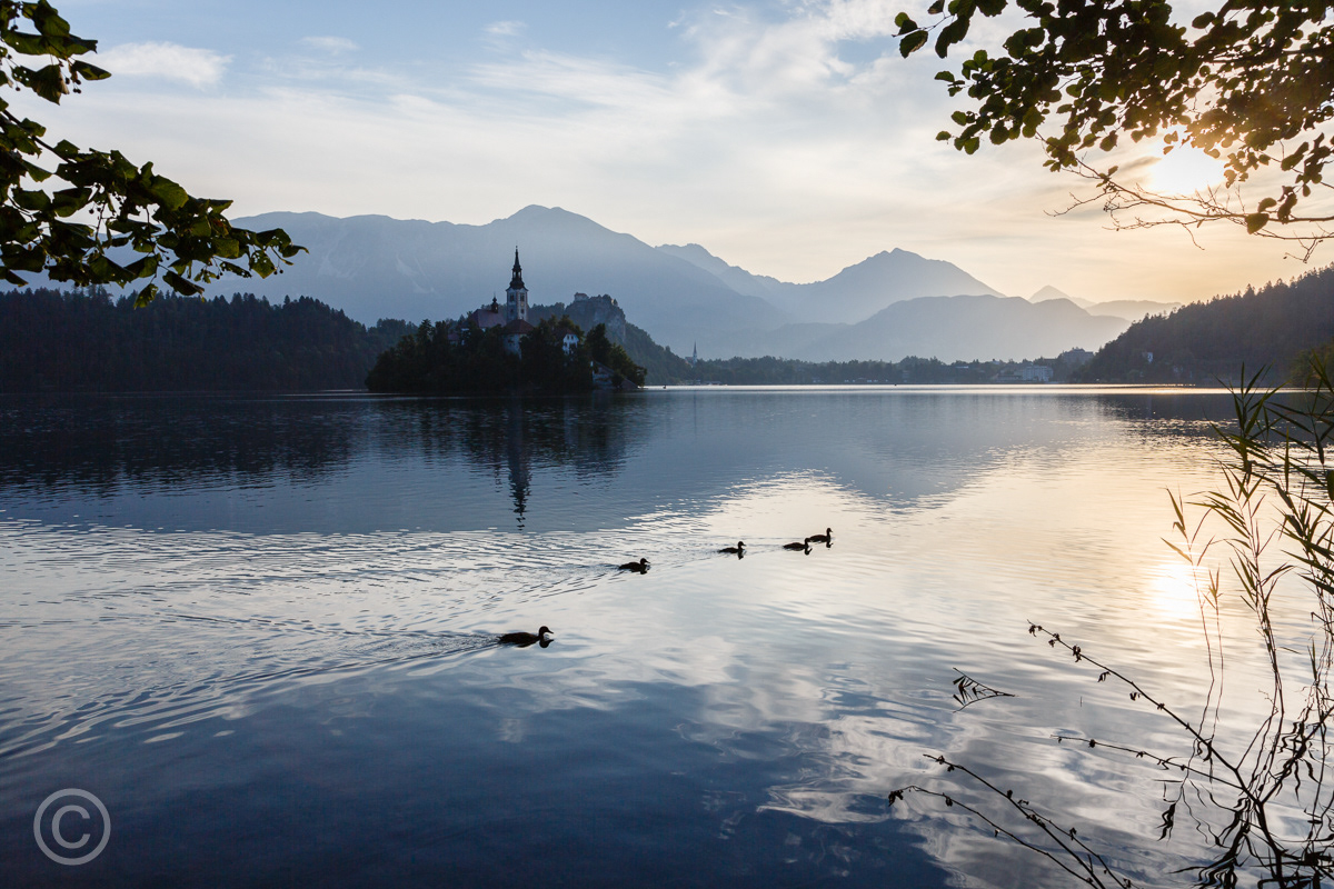 Early morning, Lake Bled, Slovenia