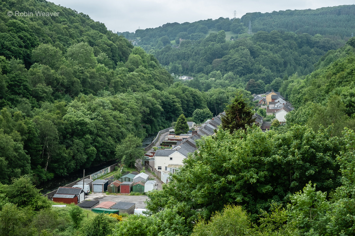Woodland Terrace in Aberbeeg finally lives up to its name in 2018