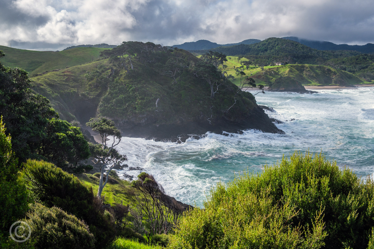 View across Taupiri Bay to Elliot Bay