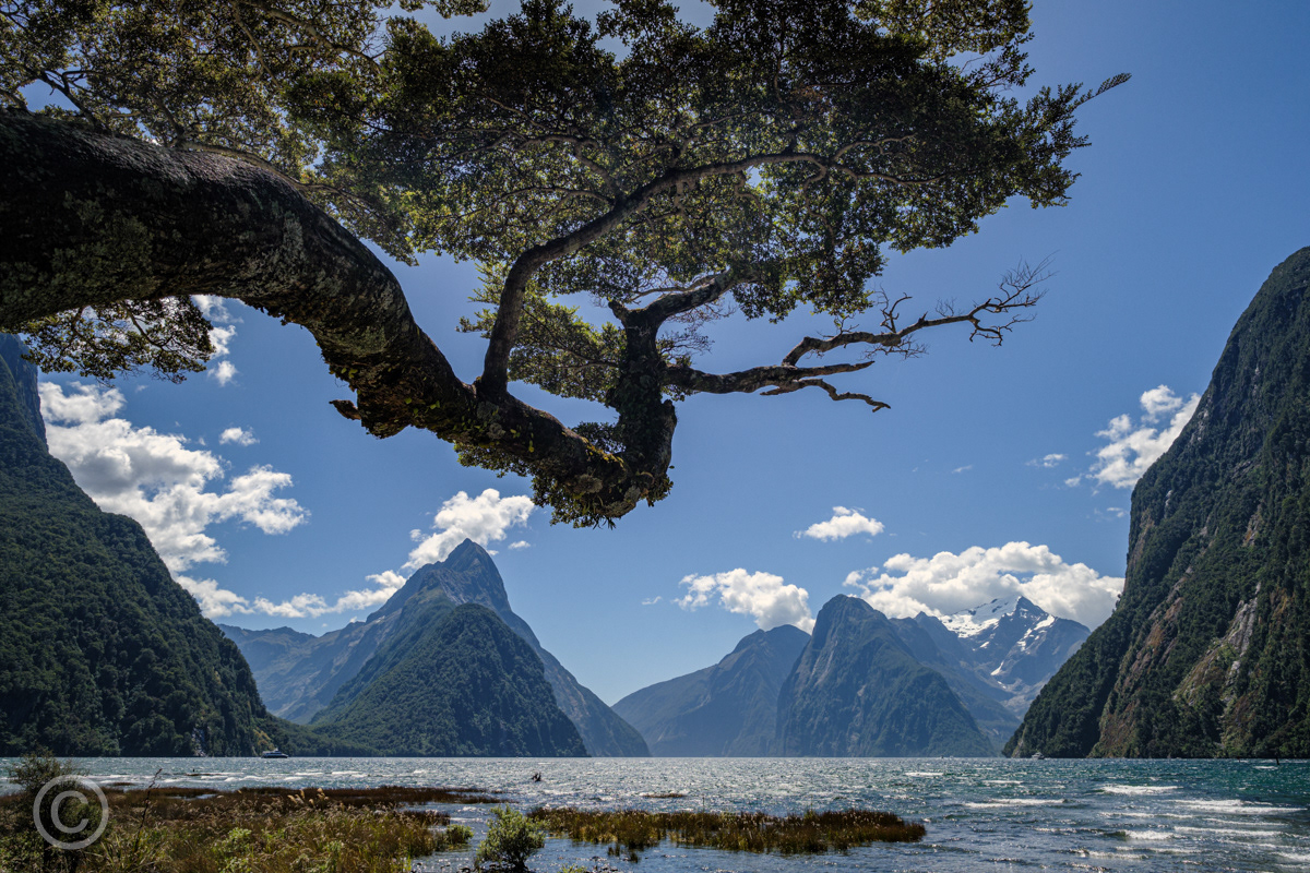 Milford Sound and Mitre Peak
