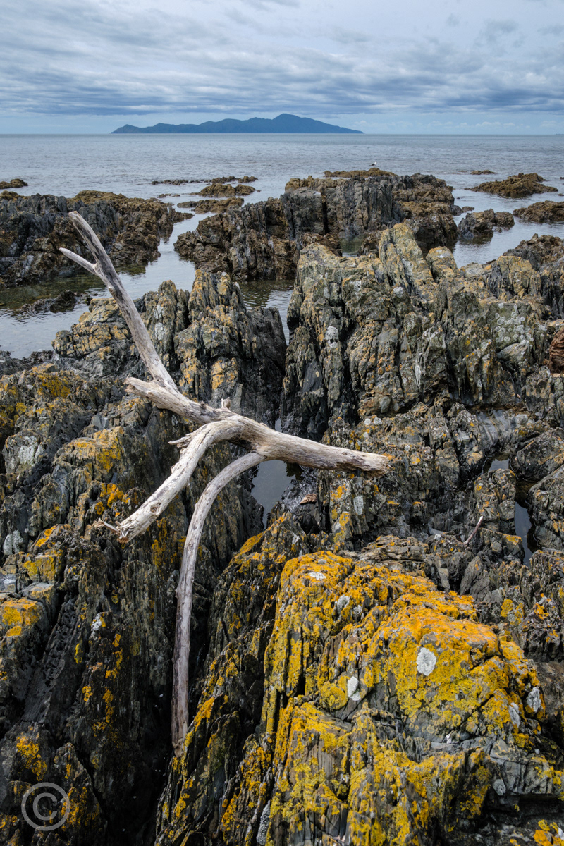 Pukerua Bay and Kapiti Island