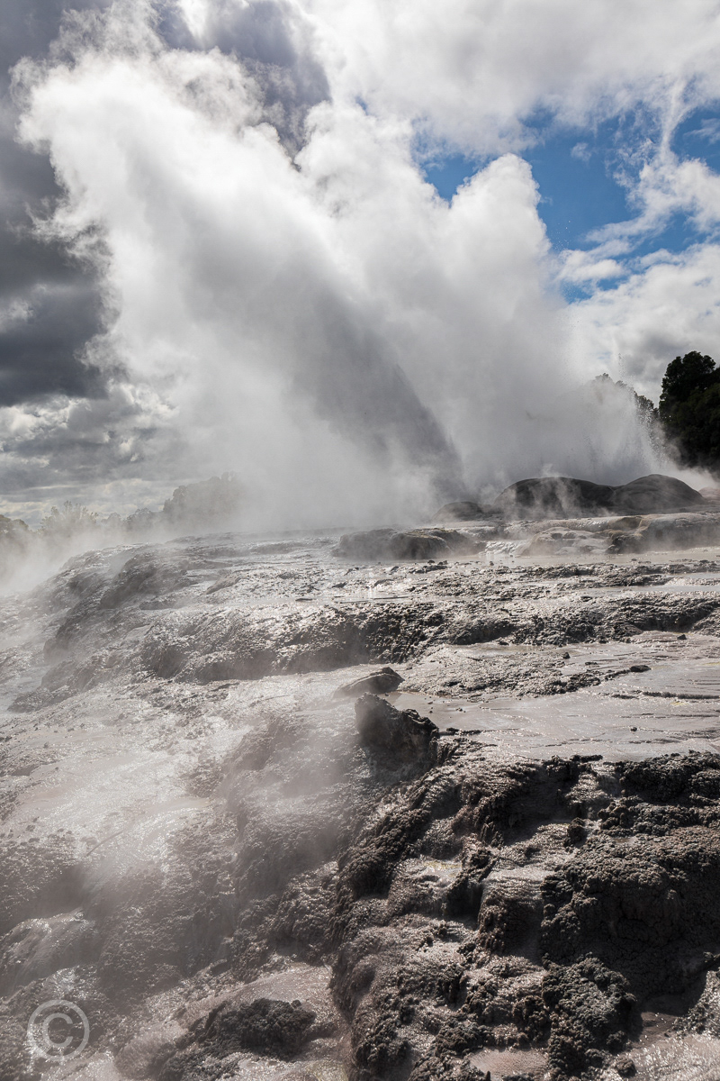 Pohutu Geyser, Rotorua