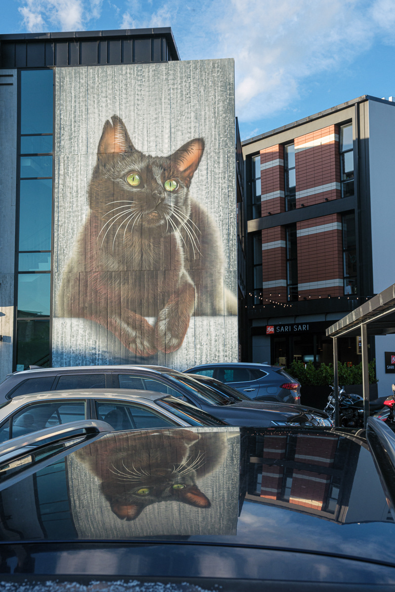Street art in Christchurch