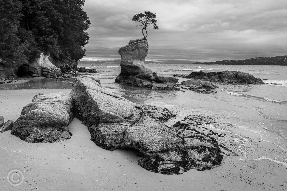 Tinline Bay, New Zealand