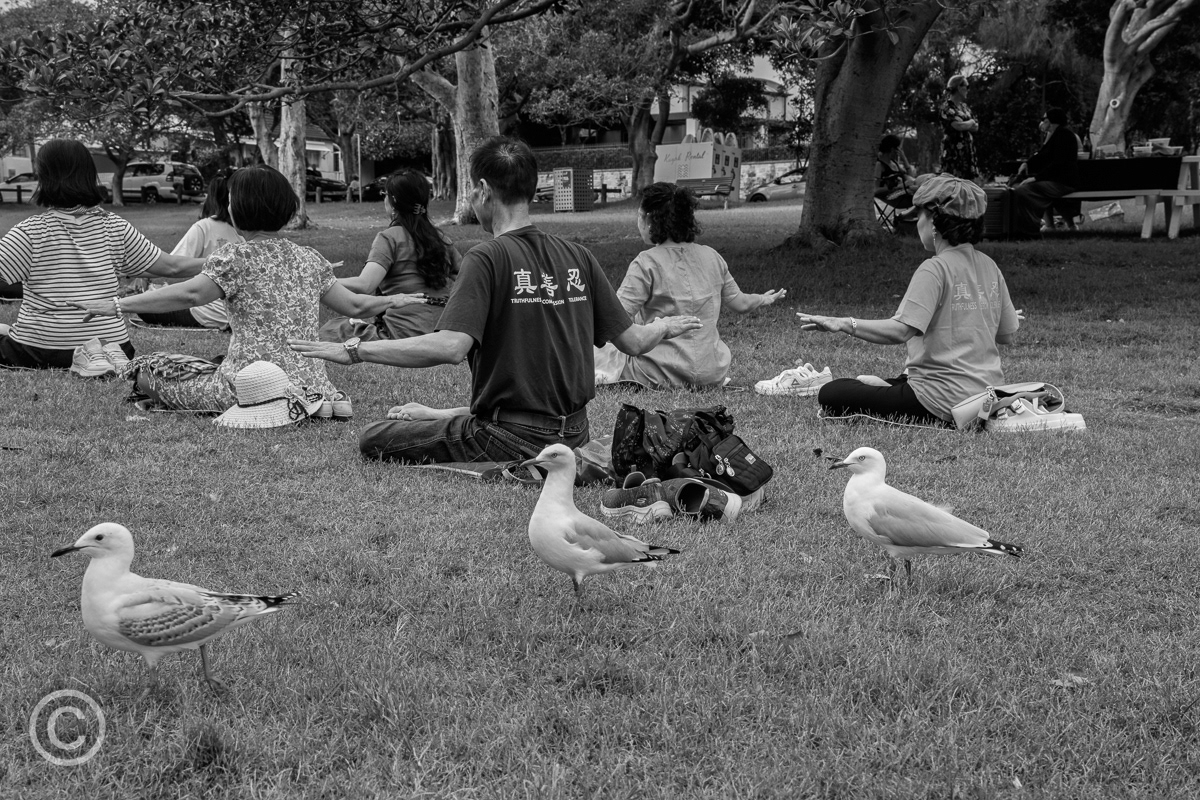 Falun Dafa group, Sydney