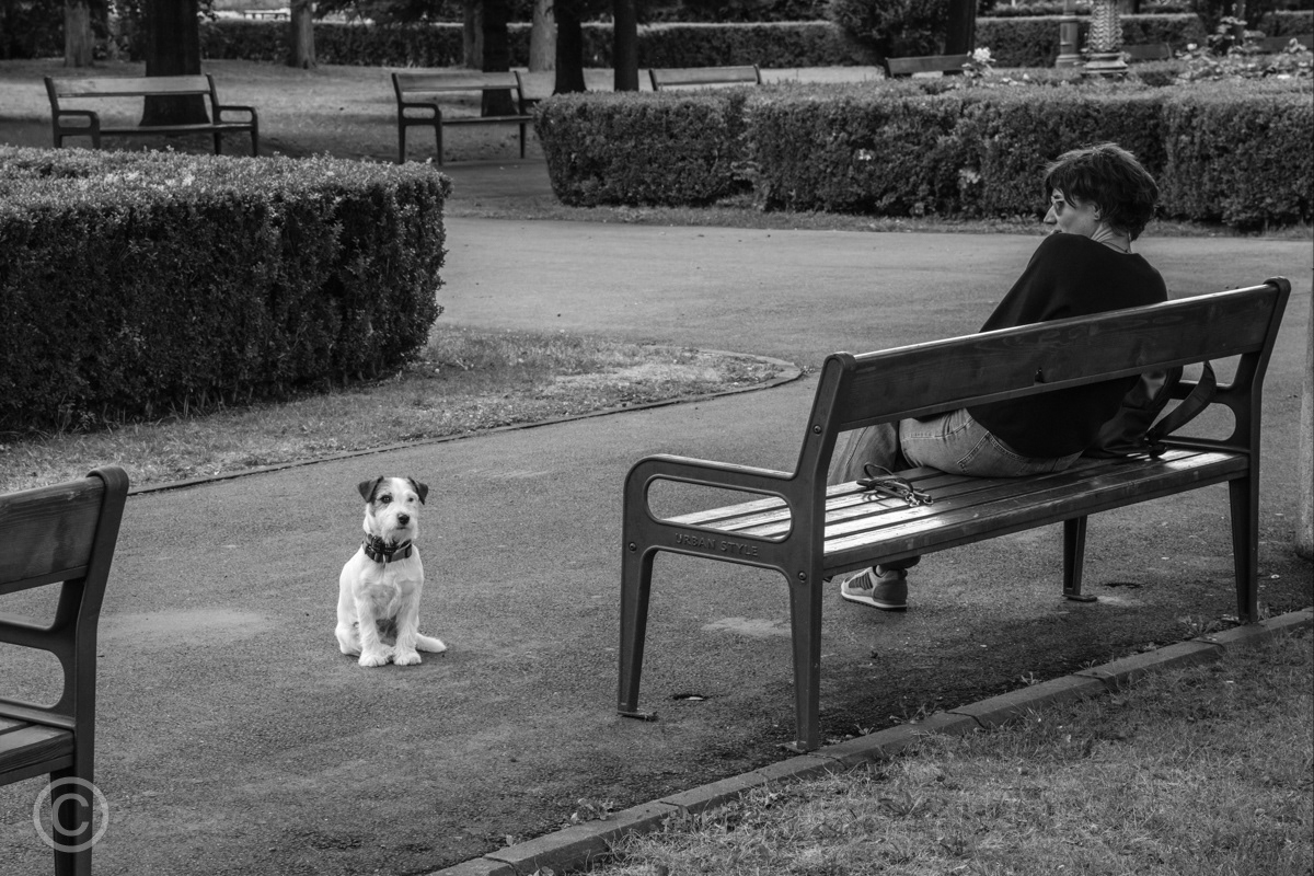Brașov, Transylvania, Romania