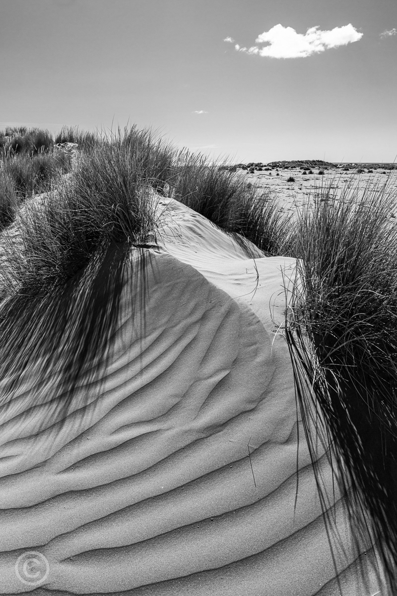 Kuku Beach, Kapiti Coast, New Zealand