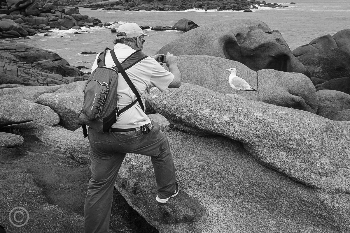 Côte de Granit Rose, Brittany, 2014