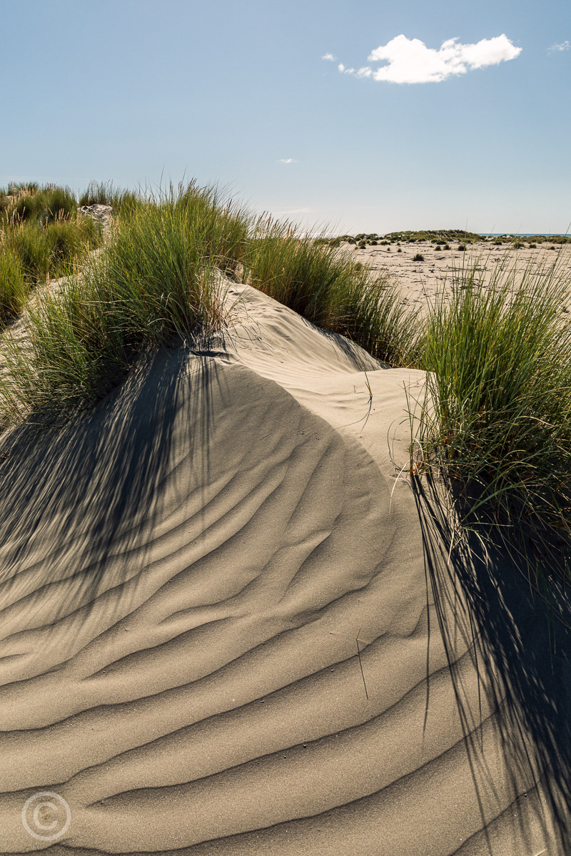 Kuku Beach, Kapiti Coast