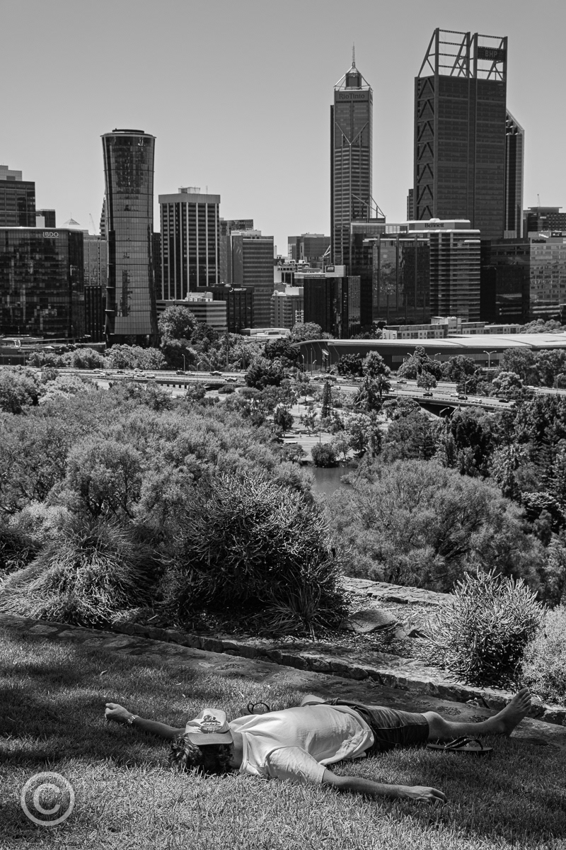 Kings Park, Perth, WA